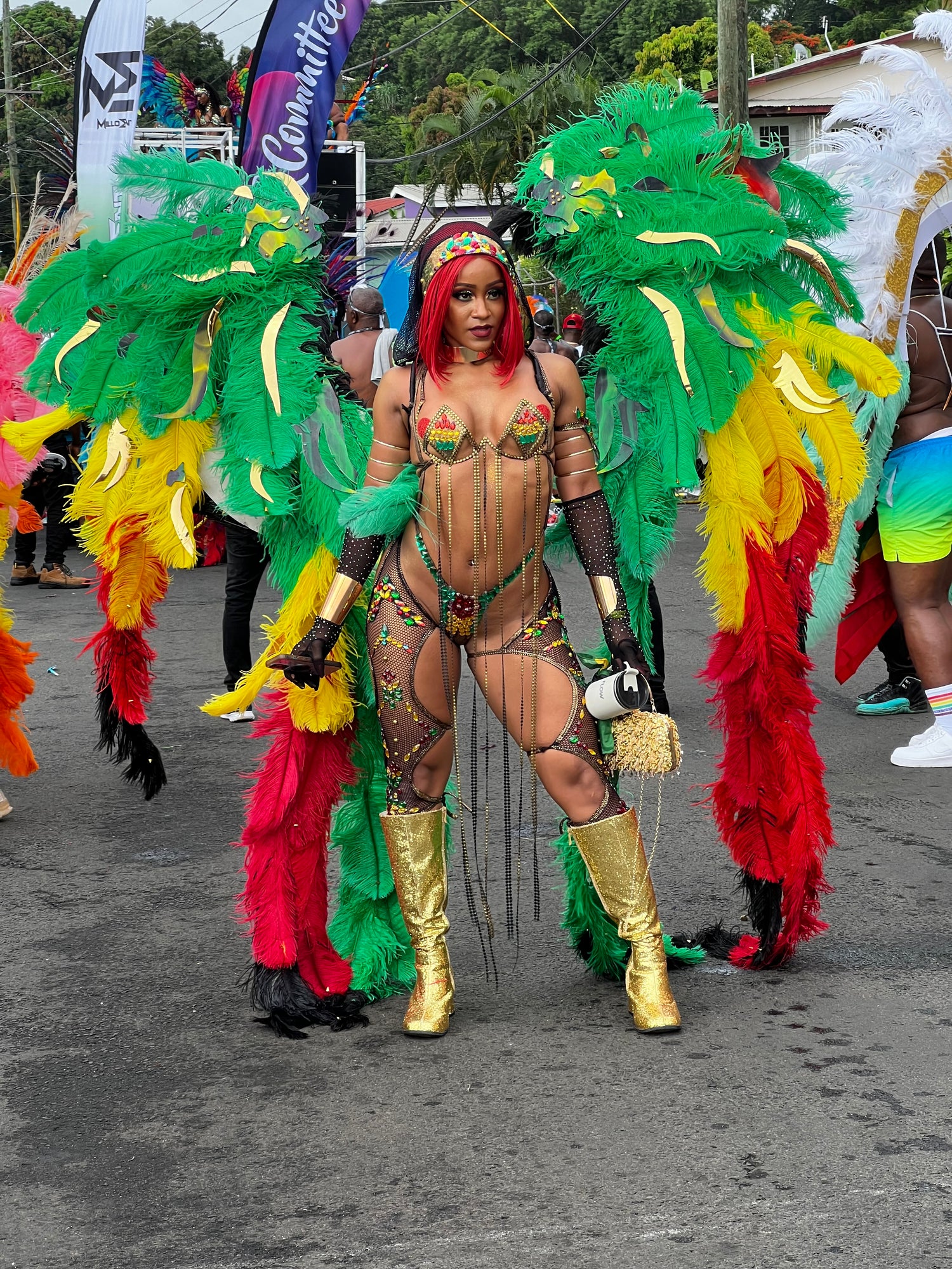Prep Like a Pro: Your Ultimate Guide to Getting Ready for Jamaica Carnival 2024