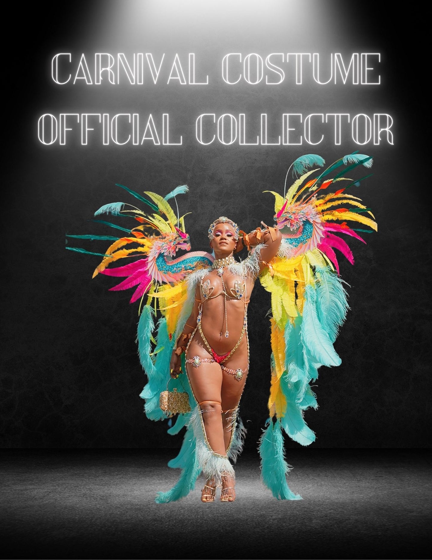 CARNIVAL COSTUME CONCIERGE SERVICE - AUTHORIZED COLLECTOR